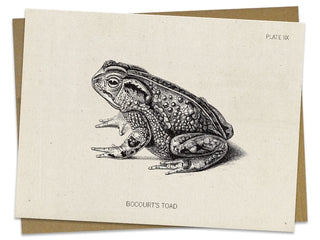 Toad Greeting Card - Science Stationery | Cognitive Surplus