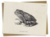 Toad Specimen Card Cognitive Surplus