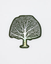 Tree Branches Sticker Cognitive Surplus