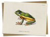 Tree Frog Specimen Card Cognitive Surplus