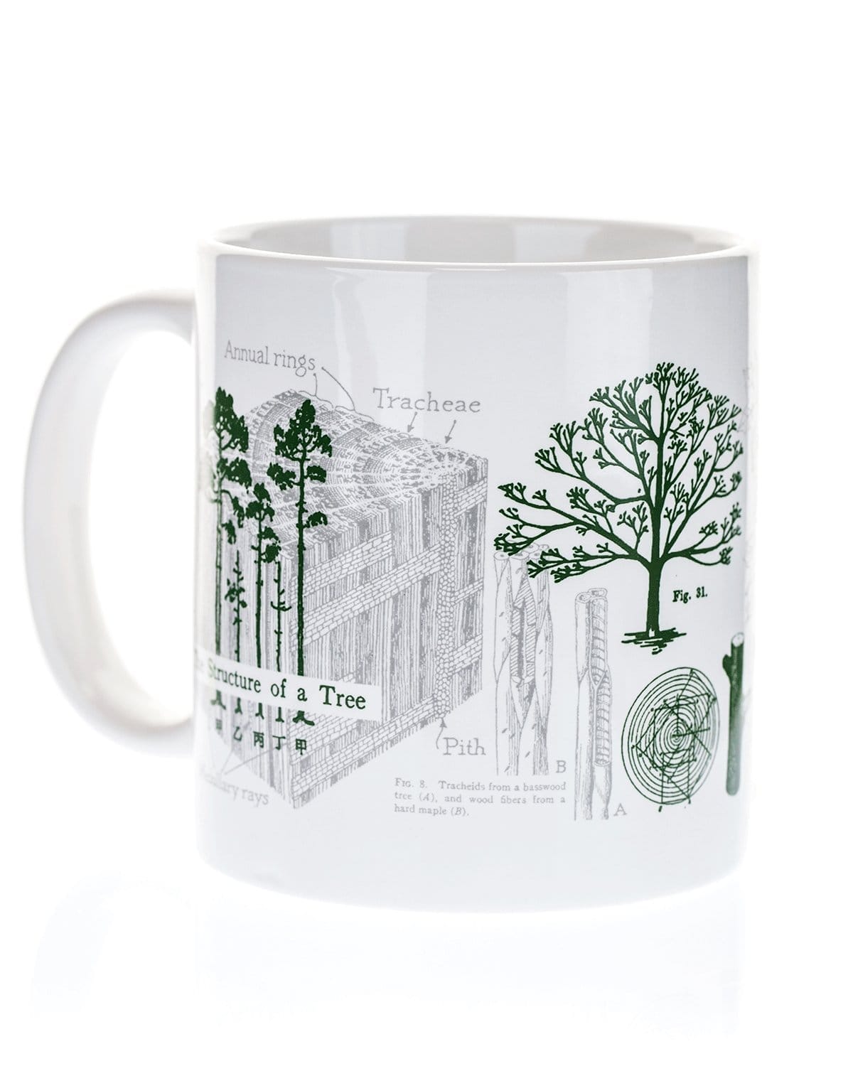 Forest Mug 20 oz | Botanical Print Science Mug