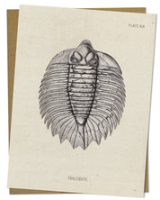 Trilobite Fossil Card Cognitive Surplus