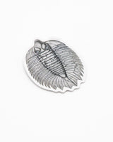 Trilobite Fossil Sticker