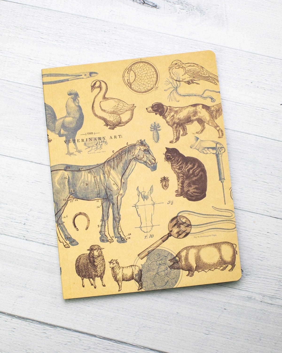 Veterinary Science Softcover - Dot Grid Cognitive Surplus