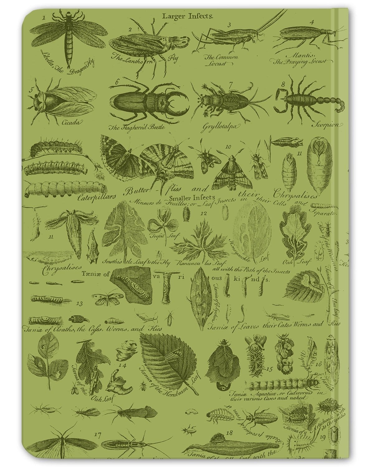 Vintage Insect Hardcover - Dot Grid Cognitive Surplus