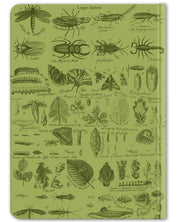 Vintage Insect Hardcover - Dot Grid Cognitive Surplus