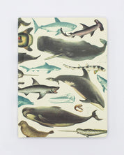 Whales & Seals Hardcover - Dot Grid Cognitive Surplus