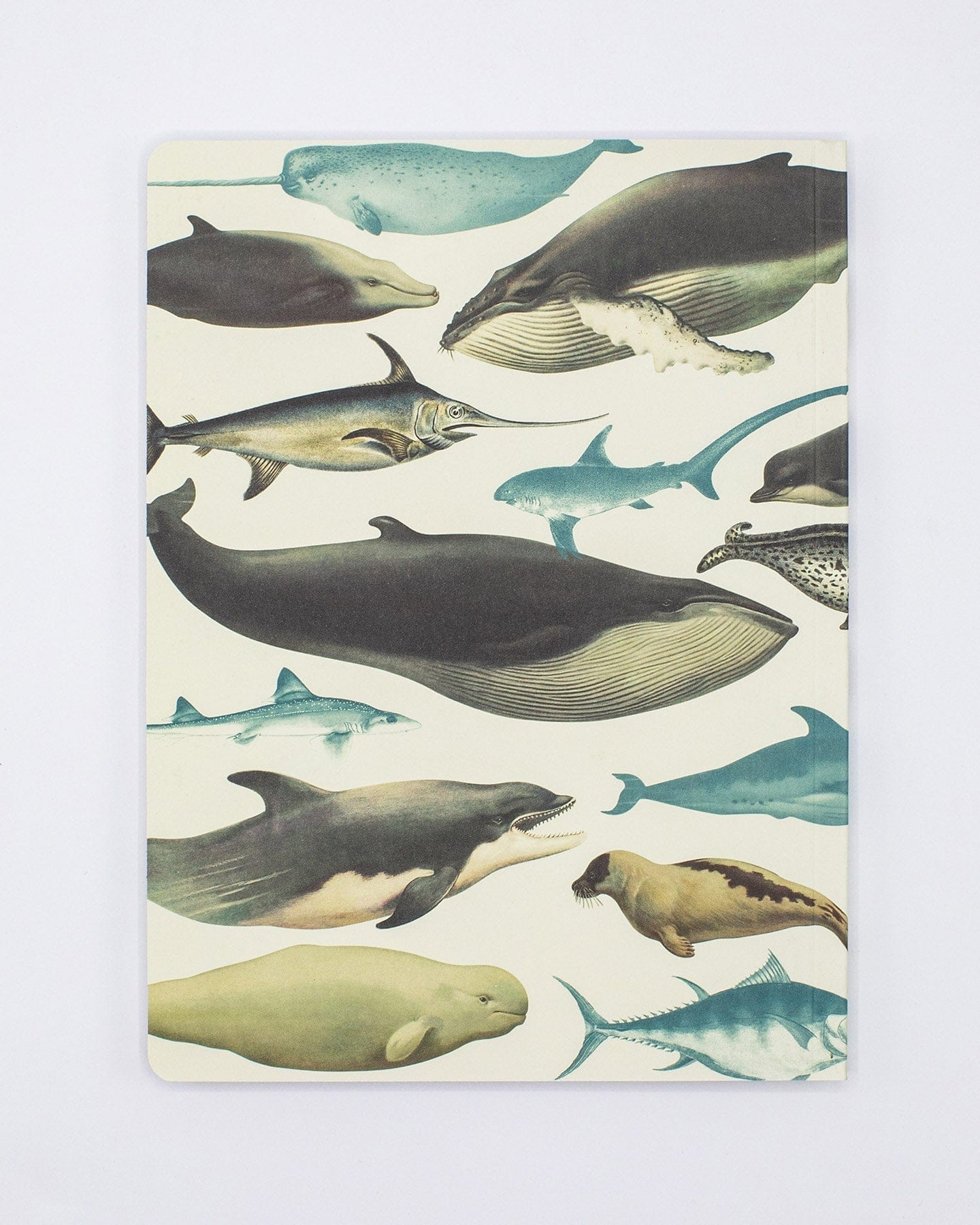 Whales & Seals Softcover - Lined Cognitive Surplus