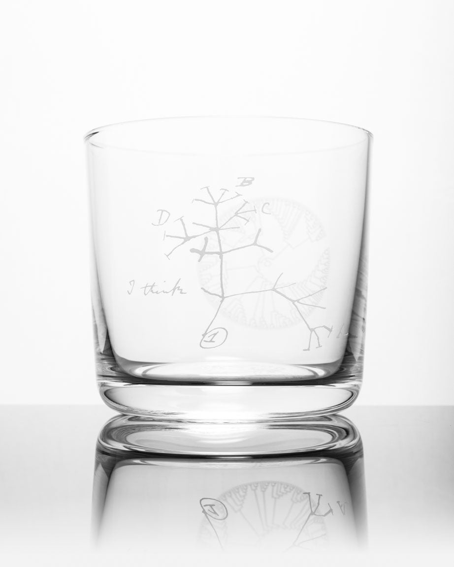 A SECONDS: Tree of Life Whiskey Glass with a drawing of a tree on it from Cognitive Surplus.