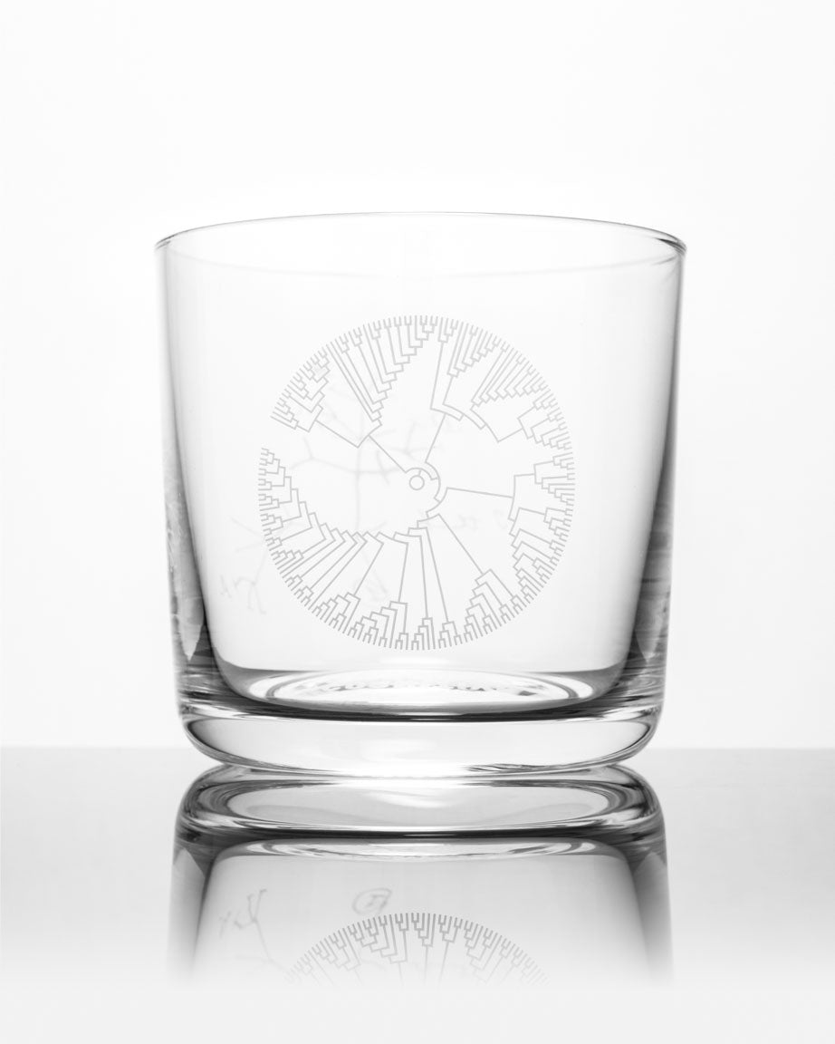 A SECONDS: Tree of Life Whiskey Glass with an image of a tree on it by Cognitive Surplus.