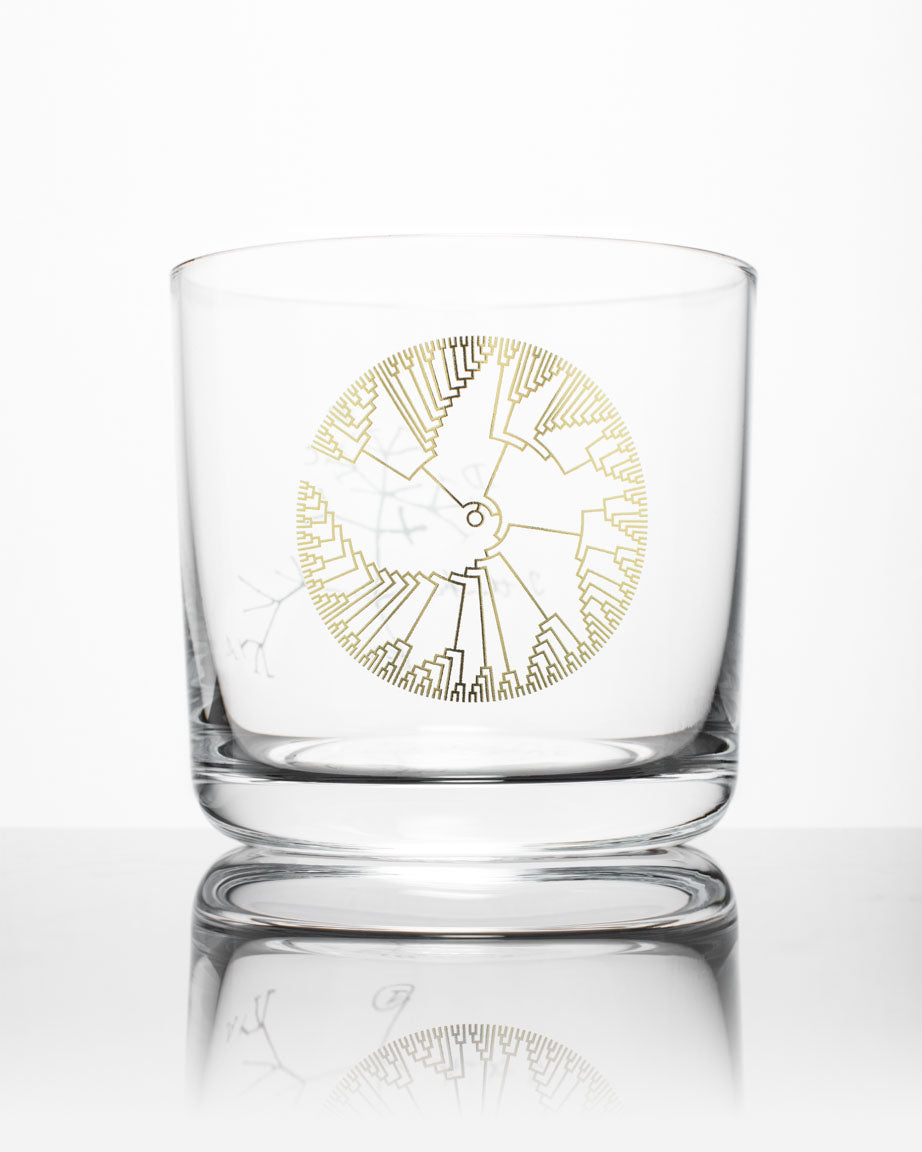 A Cognitive Surplus SECONDS: Tree of Life Whiskey Glass with an image of a tree on it.