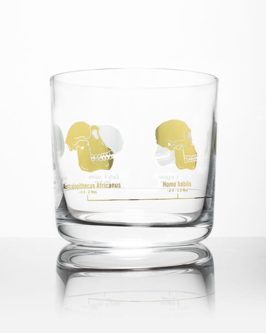 A SECONDS: Hominid Skulls Whiskey Glass with a yellow and white design on it, by Cognitive Surplus.