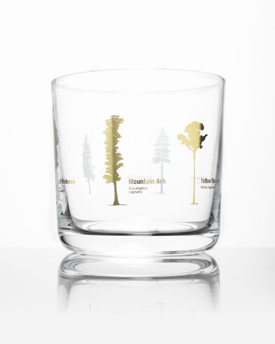 A Cognitive Surplus Forest Giants Whiskey Glass with trees and trees on it.