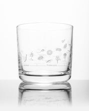 A Geologic Time Scale Whiskey Glass with a design on it by Cognitive Surplus.
