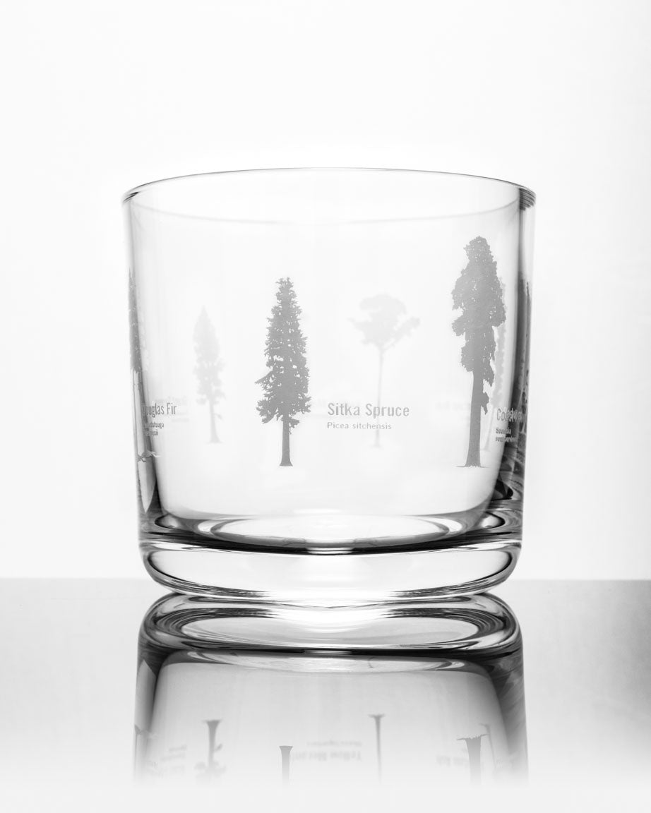A SECONDS: Forest Giants Whiskey Glass by Cognitive Surplus with trees engraved on it.