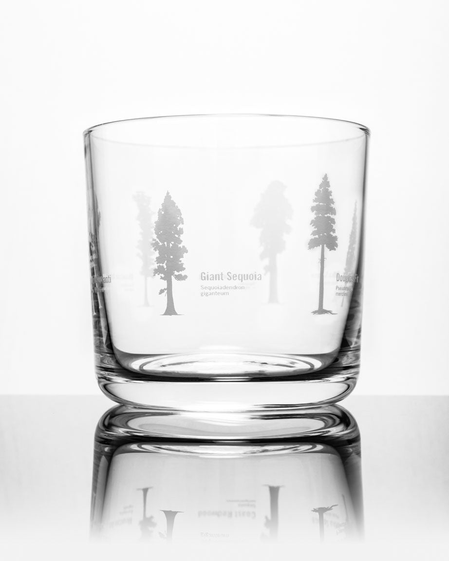 A Forest Giants Whiskey Glass with trees etched on it by Cognitive Surplus.