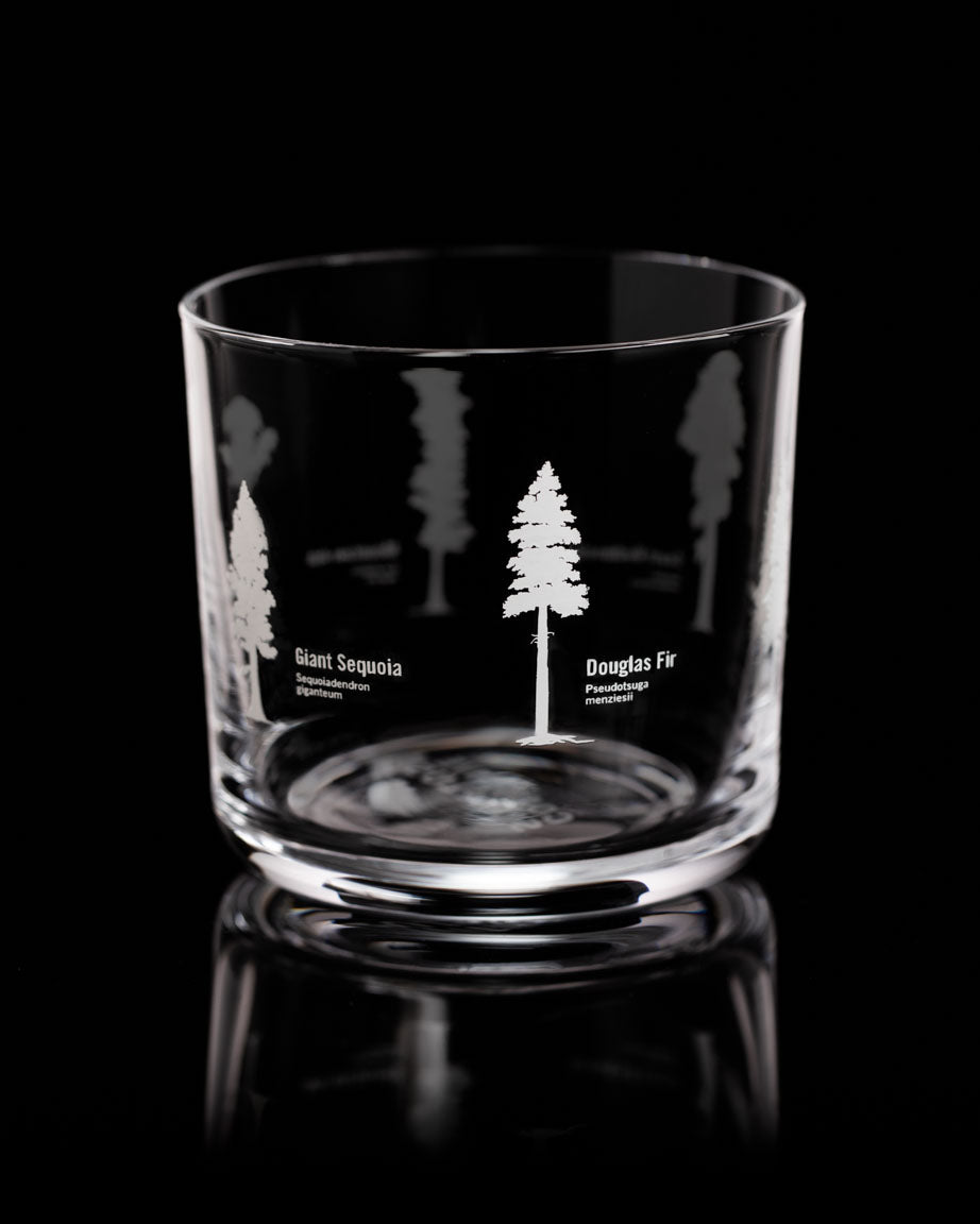 A SECONDS: Forest Giants Whiskey Glass with trees engraved on it by Cognitive Surplus.