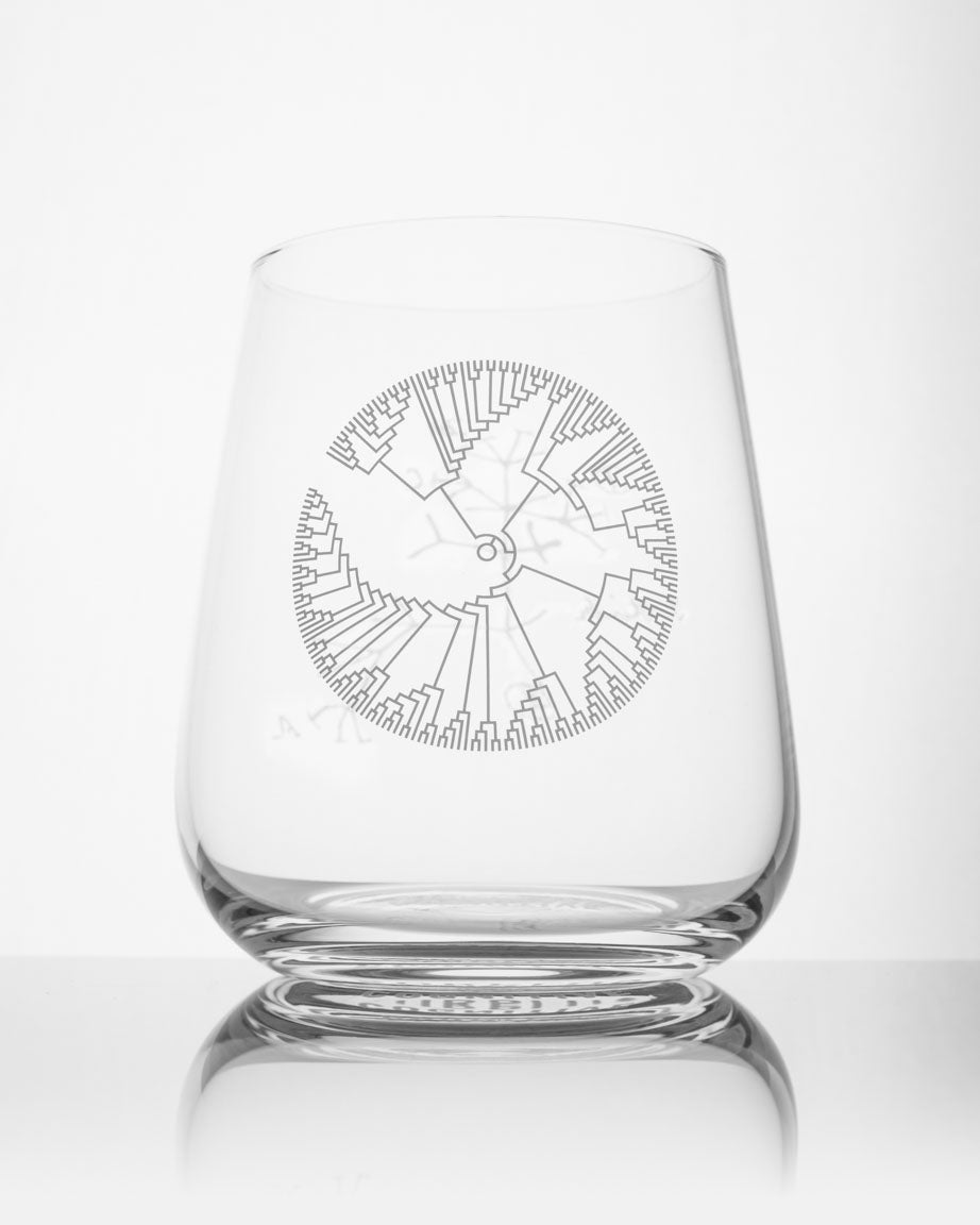 A Tree of Life Wine Glass with an image of a seashell on it, by Cognitive Surplus.