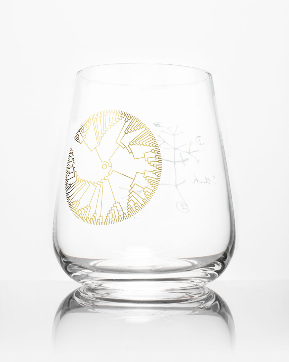 A Tree of Life Wine Glass with an image of a tree on it by Cognitive Surplus.
