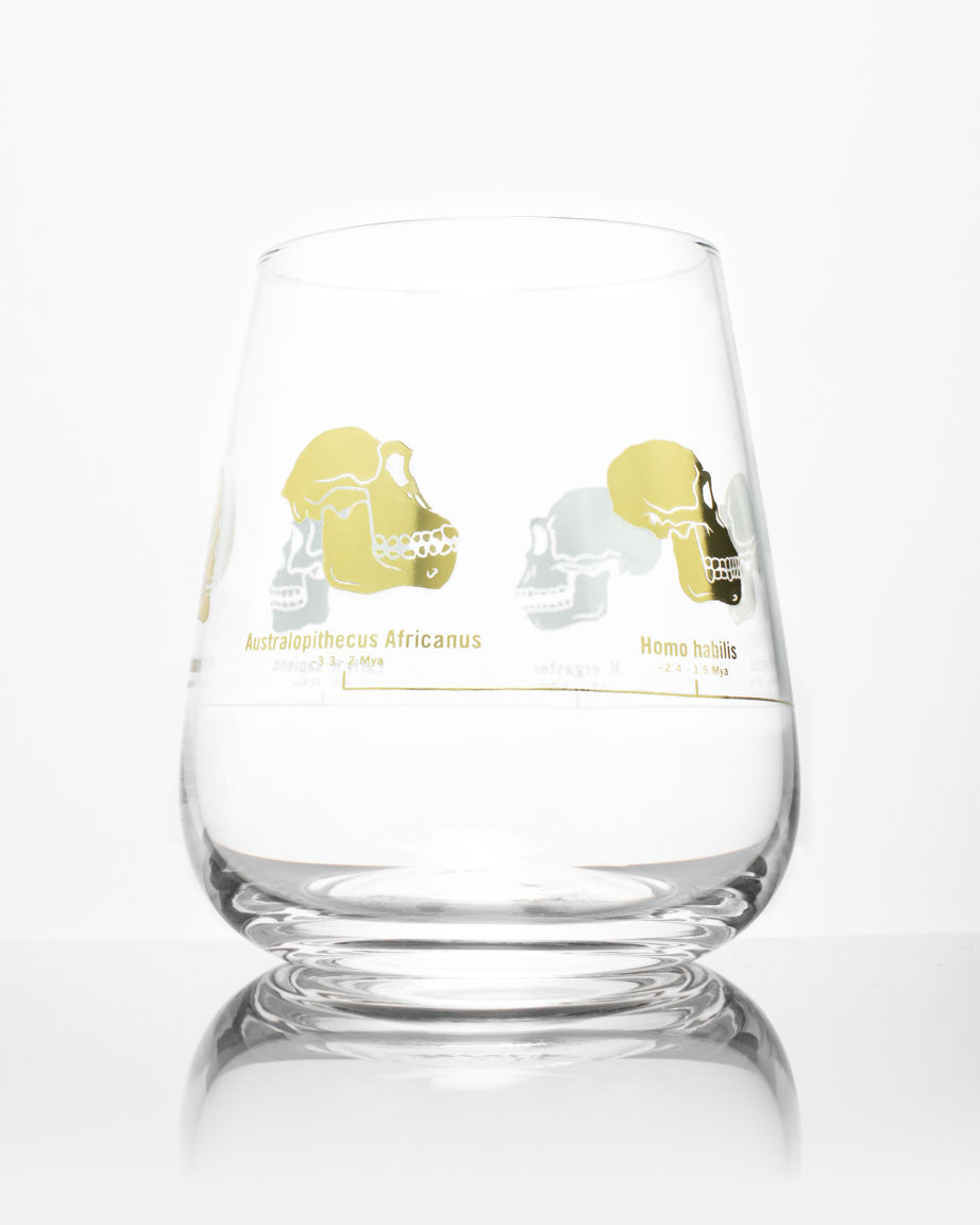 A Hominid Skulls Wine Glass with a gold and yellow design on it by Cognitive Surplus.