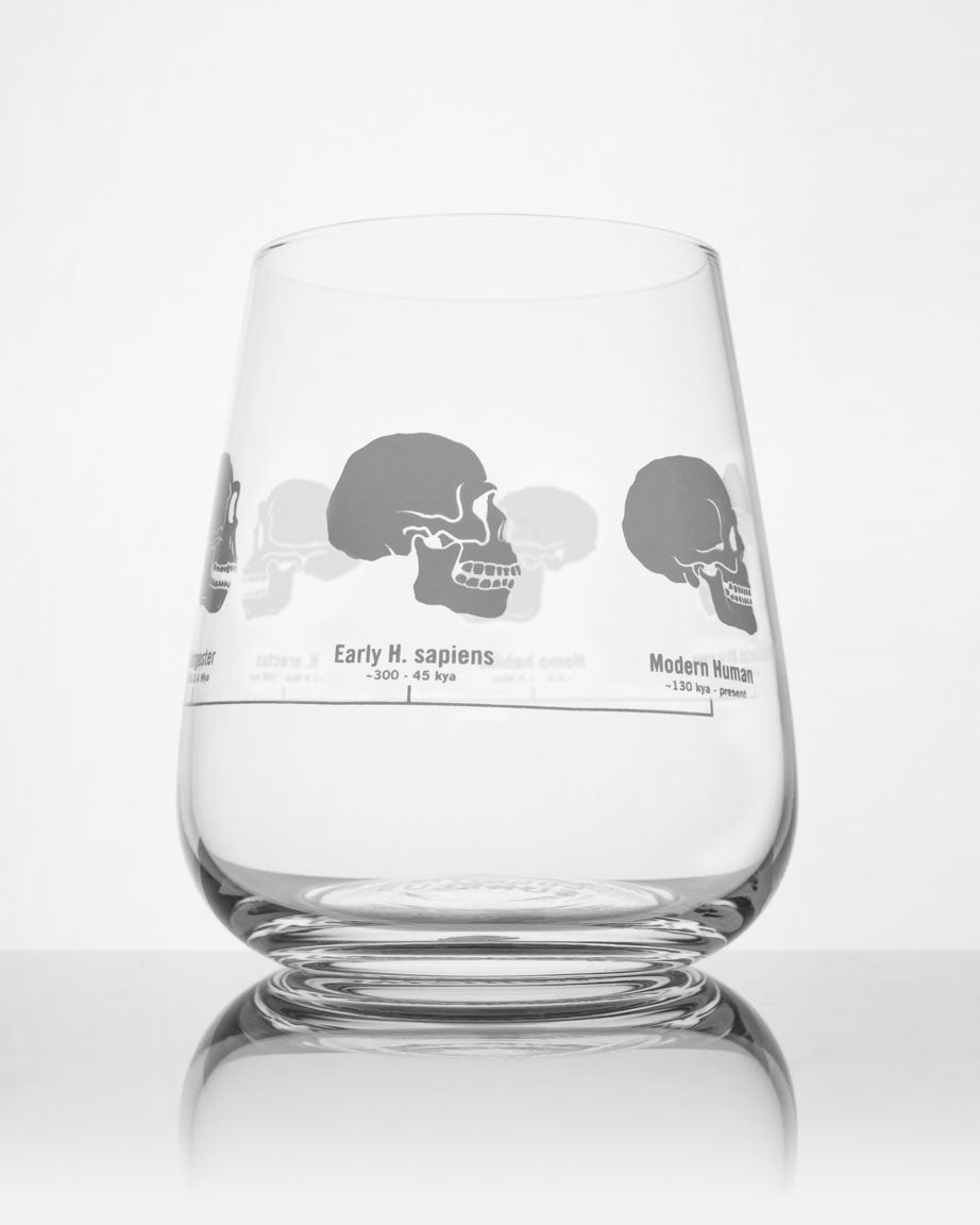 A Hominid Skulls Wine Glass with a skull on it by Cognitive Surplus.