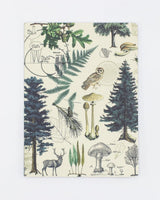 Woodland Forest Softcover Notebook - Lined