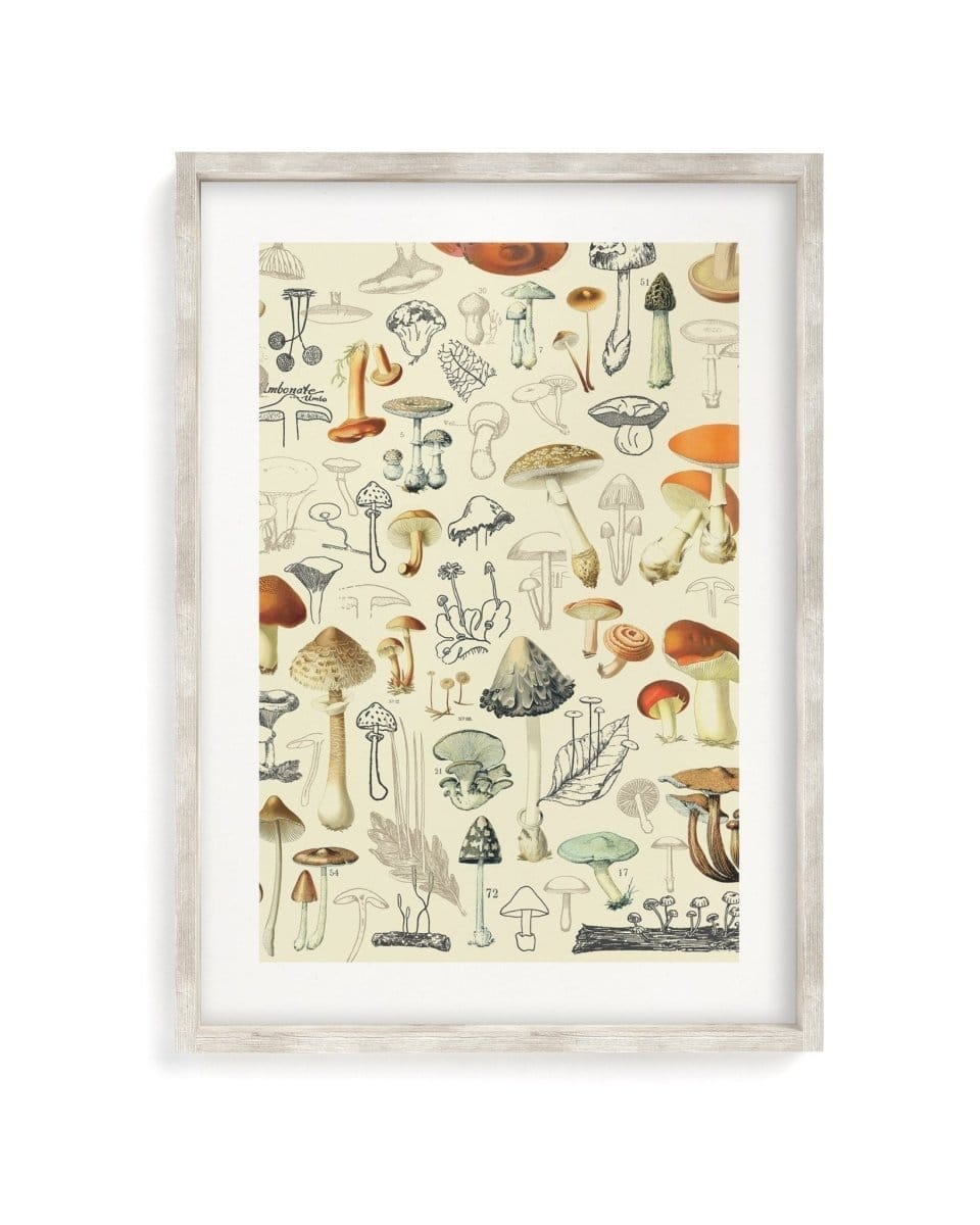 Woodland Mushrooms Museum Print Cognitive Surplus