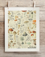 Woodland Mushrooms Museum Print Cognitive Surplus