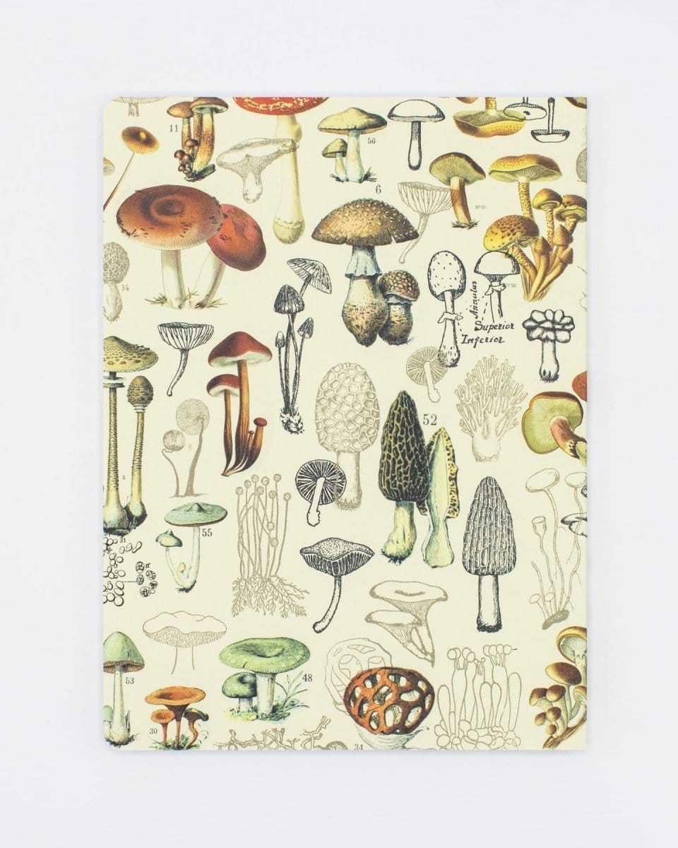 Woodland Mushrooms Softcover - Dot Grid Cognitive Surplus
